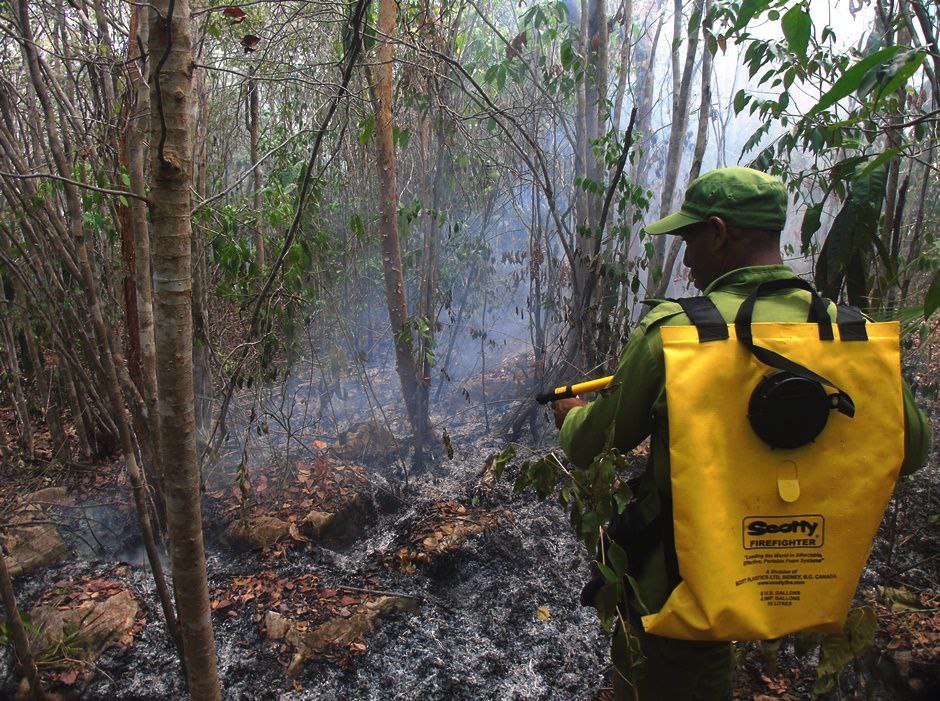 Incendio forestal arrasó más de 80 hectáreas de bosque en zona oriental de Cuba