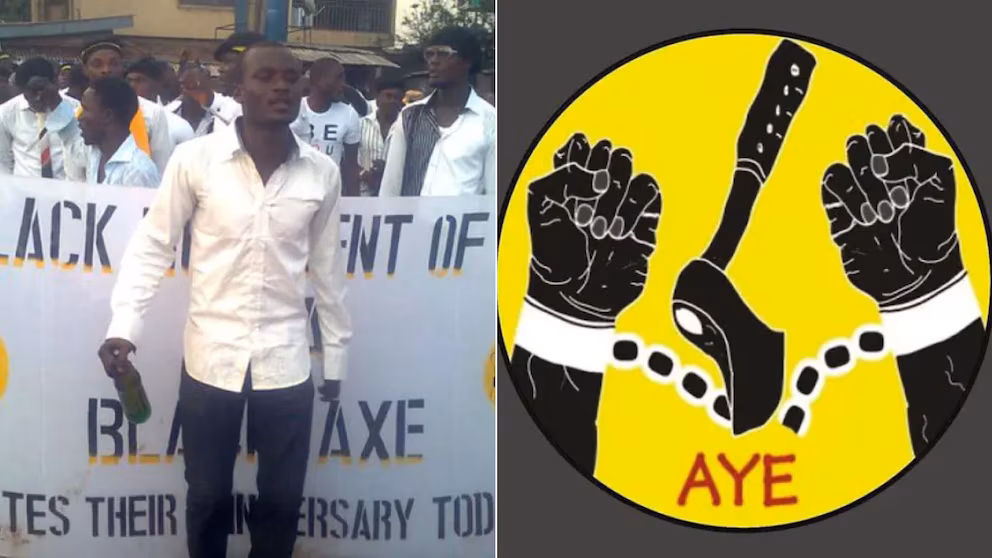 Cómo se transformó una fraternidad universitaria en un imperio criminal de millones de dólares