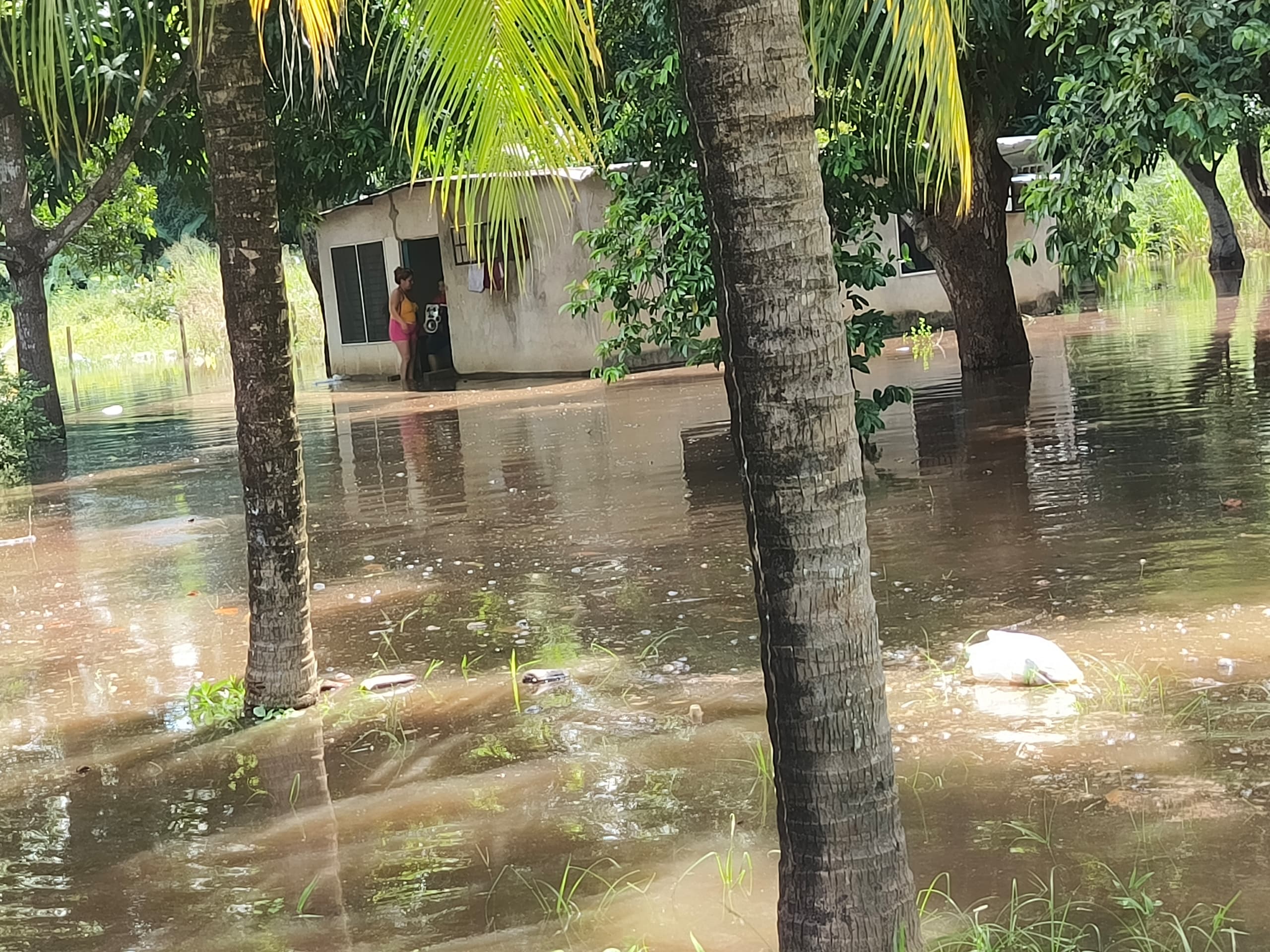 EN IMÁGENES: Achaguas sufre inundación total por crecida del río Matiyure