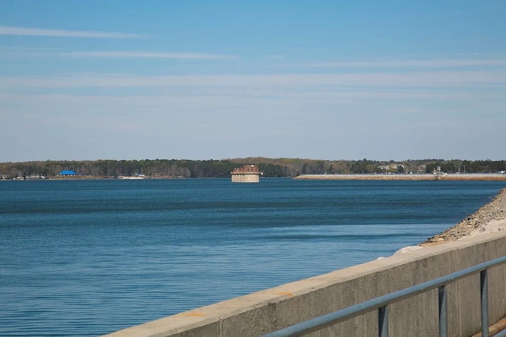 Niño murió por ameba devoradora de cerebros después de nadar en un lago en Carolina del Sur