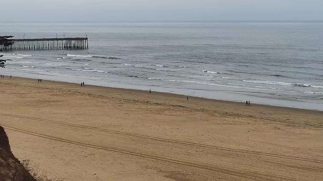 ¿Qué se sabe sobre la "grave" amenaza de tsunami en las costas de EEUU?