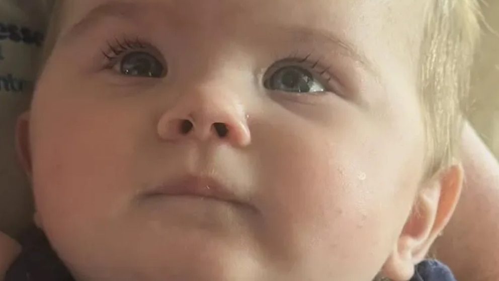 Misterio en Tennessee: bebé apareció abandonado y horas después hallaron cuatro cadáveres