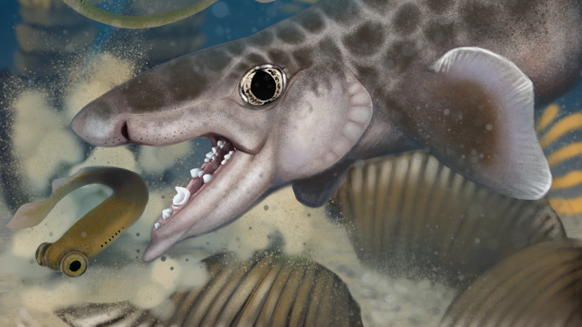 Descubierta una nueva especie de tiburón en las cuevas de Kentucky