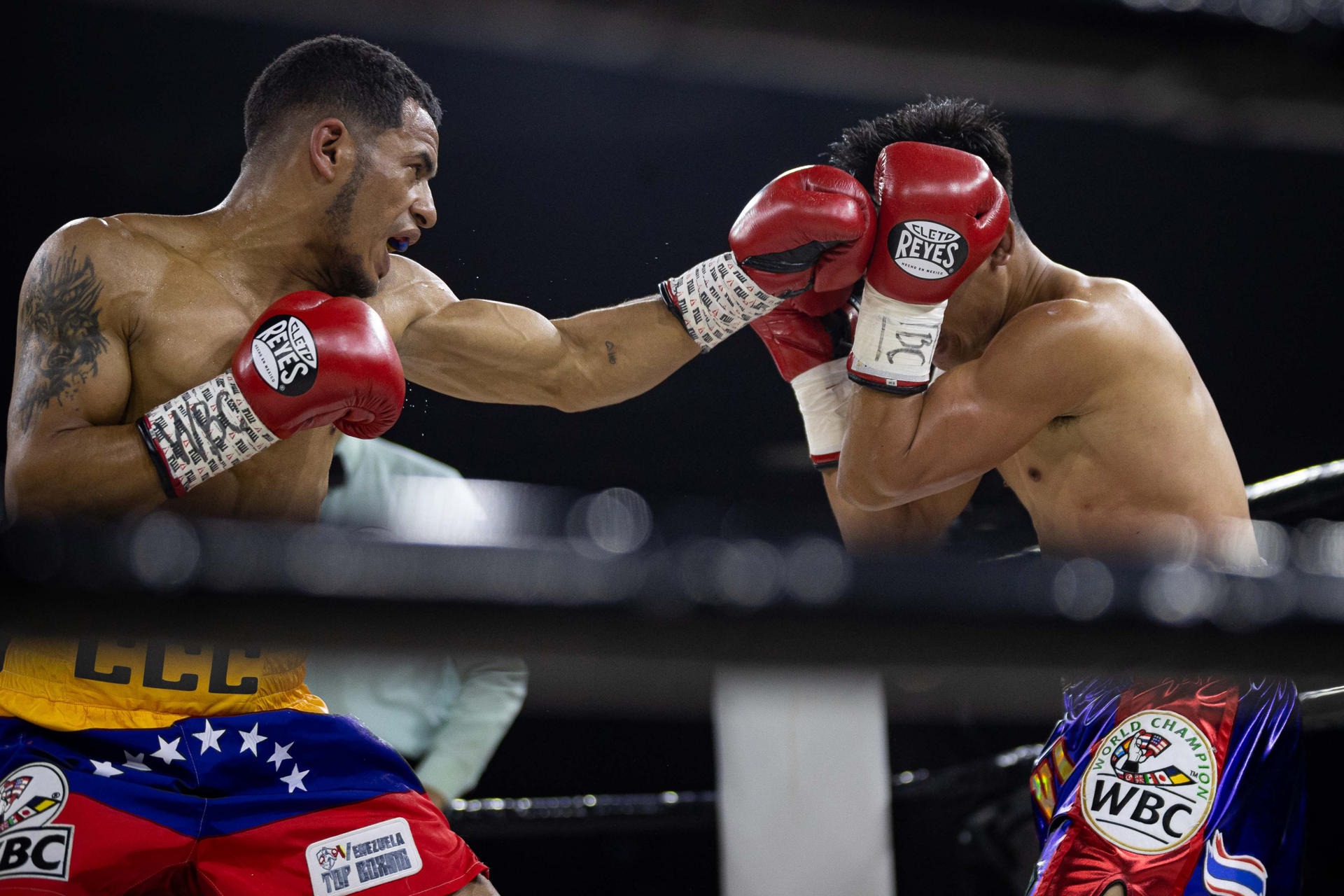 El venezolano Carlos Cañizales noqueó a su rival para robarle el título minimosca del CMB