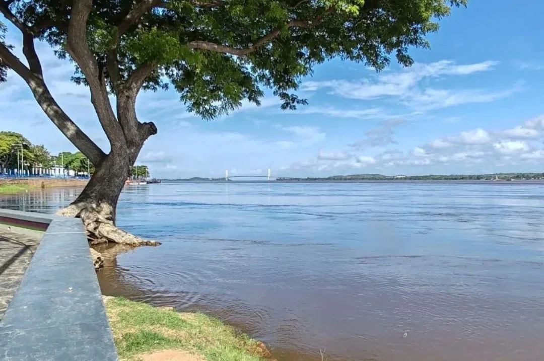 VIDEO: crecida del río Orinoco provoca que los peces aparezcan en las calles de Bolívar