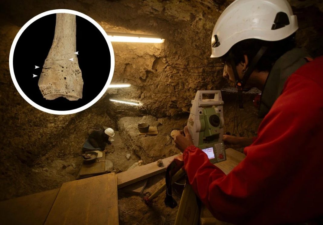 Caníbales devoraron a una familia entera durante el neolítico, sin indicios rituales