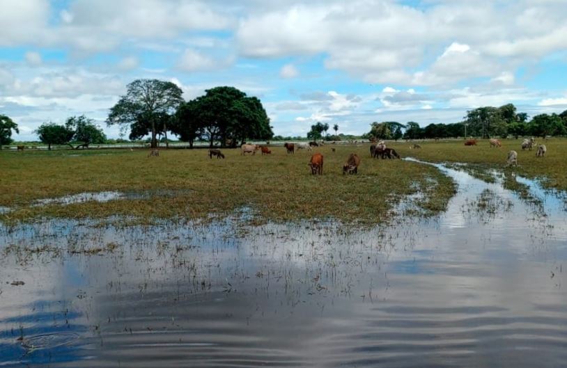 Ondas tropicales amenazan con agravar la emergencia en Barinas por las intensas lluvias