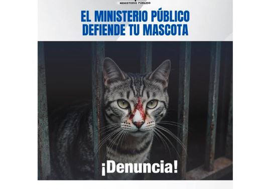 Ministerio Público activó canales para denunciar el maltrato animal en Venezuela