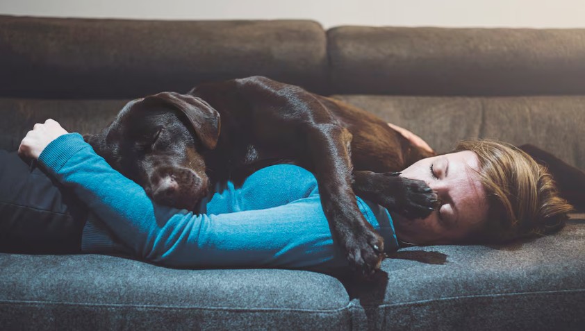 Dormir “ocho horas diarias” no es lo más importante para mantener una buena salud: la ciencia confirma el verdadero secreto