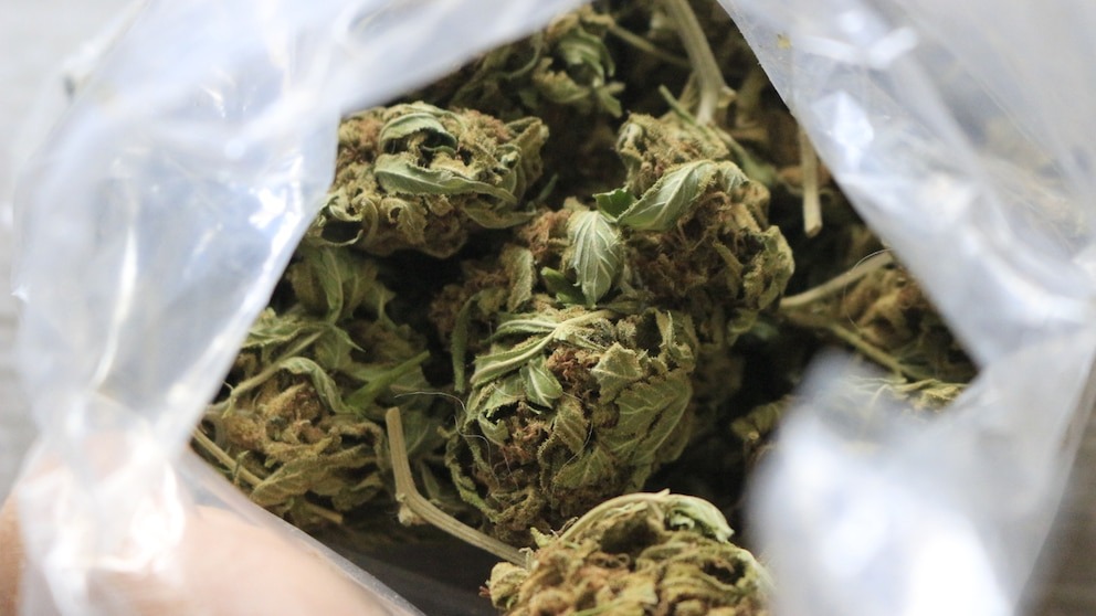 Niño de dos años halló una bolsa de cannabis y se la comió: sus padres lo encontraron inconsciente