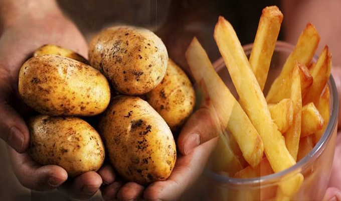 El grave riesgo detrás del consumo de papitas fritas, según un estudio de Harvard
