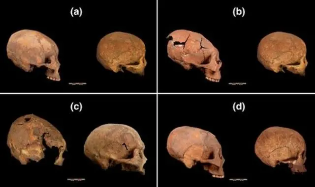 La reconstrucción de un cráneo de un millón de años podría replantear la evolución humana