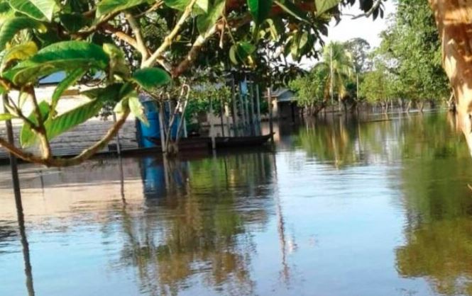 Casas desalojadas por crecida del río Orinoco se convirtieron en un blanco fácil para los ladrones