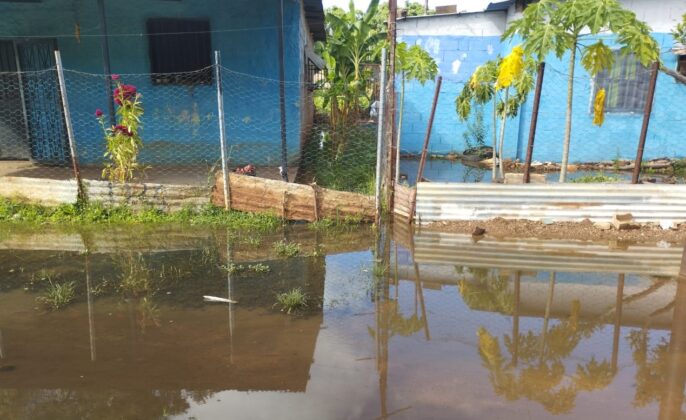 Nivel del río Orinoco bajó tres centímetros en Ciudad Bolívar