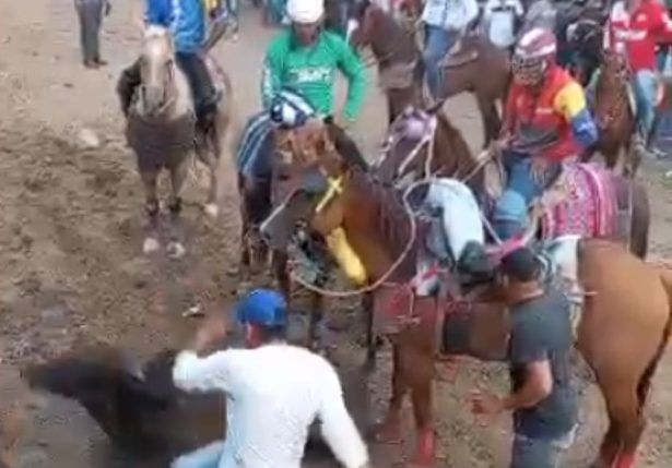 Inician investigación contra sujetos que patearon salvajemente a un toro durante feria en Lara
