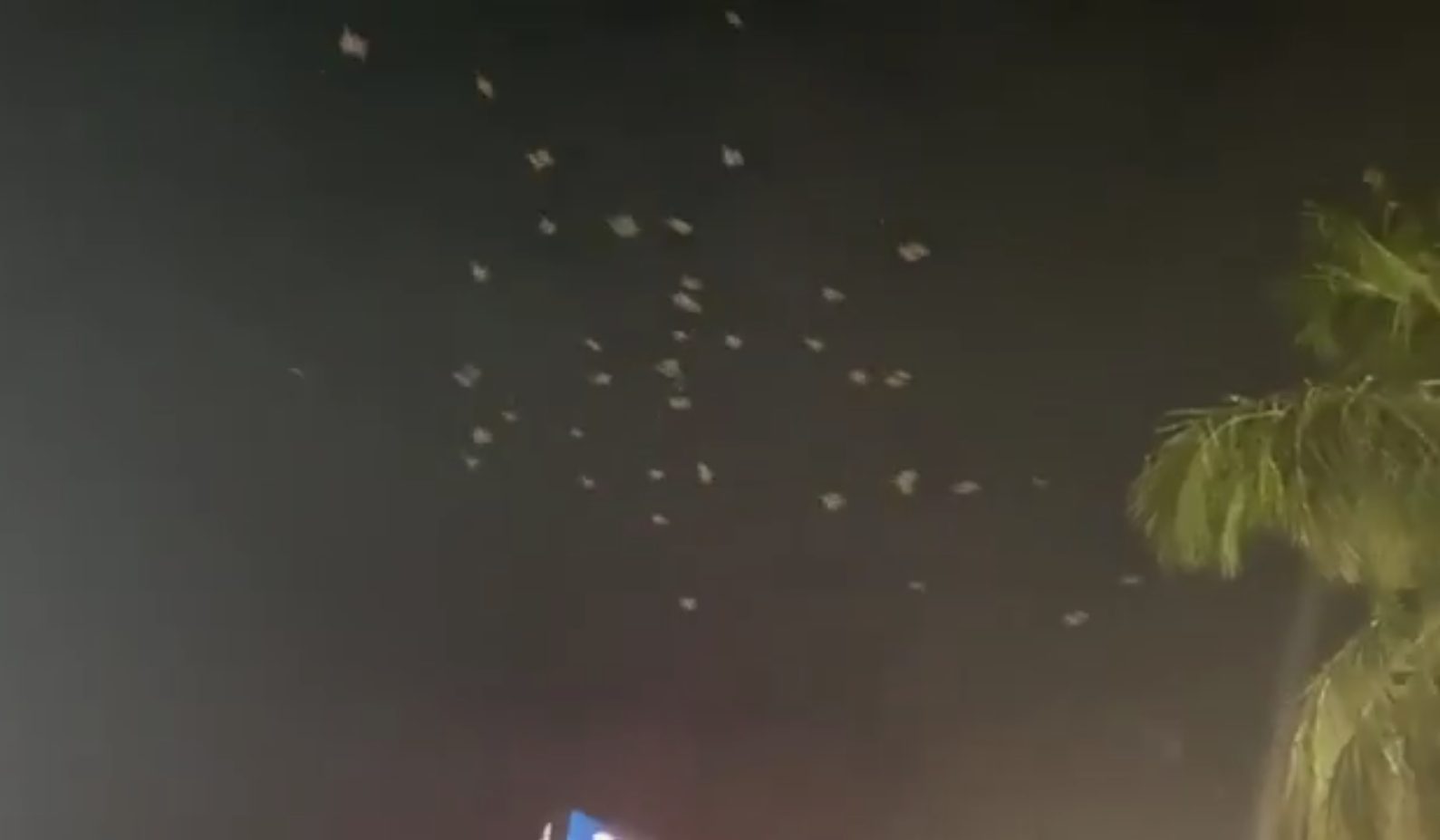 VIDEO: aves volaban despavoridas mientras estaba "temblando durísimo" en Zulia