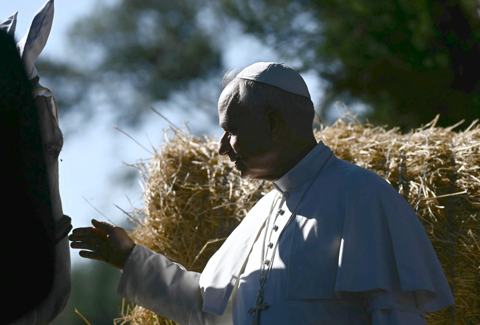 El papa León XIV instó a "dar voz a los sufrimientos de la humanidad"