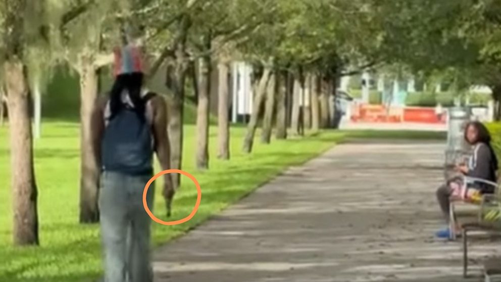 El centro de Miami quedó inmovilizado por la presencia de un hombre armado