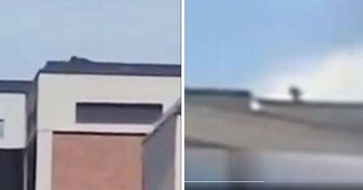 Escalofriantes VIDEOS: muestran al asesino de Charlie Kirk en la azotea momentos antes y después del crimen