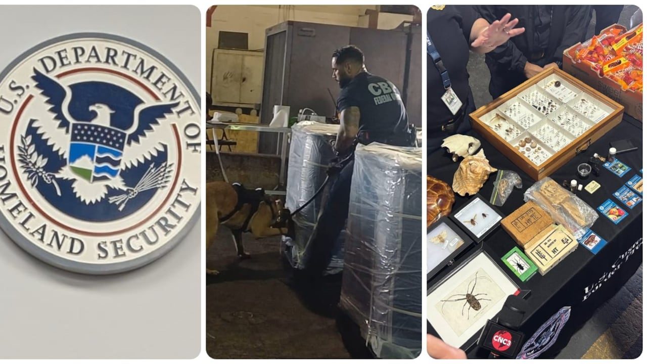 Así se detecta la droga en los puertos de entrada a EEUU desde el Caribe