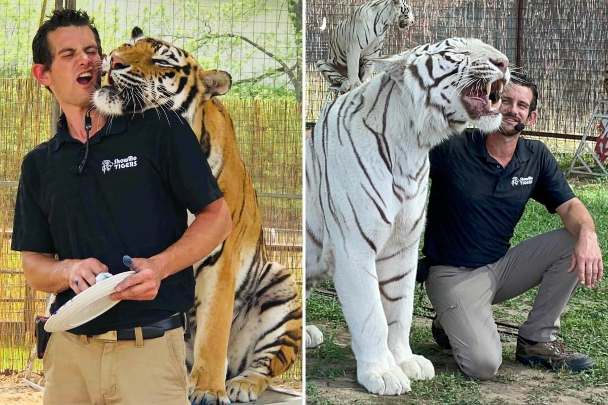 Ataque salvaje: Cuidador de tigres murió mutilado tras terrible accidente en Oklahoma