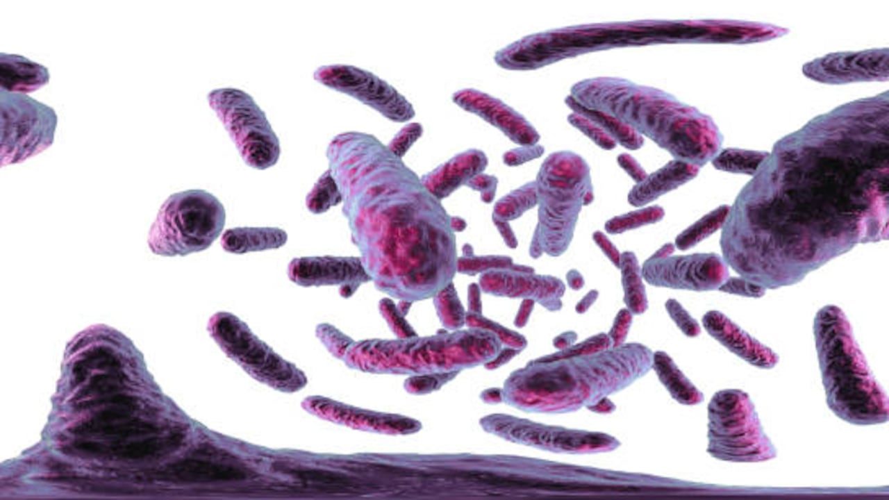 Qué son las "bacterias pesadilla" y por qué tienen en alerta a las autoridades de EEUU