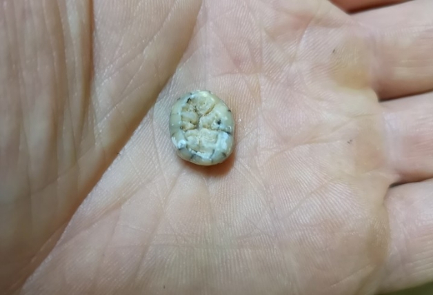 Un diente hallado en una cueva de Laos encierra un increíble secreto
