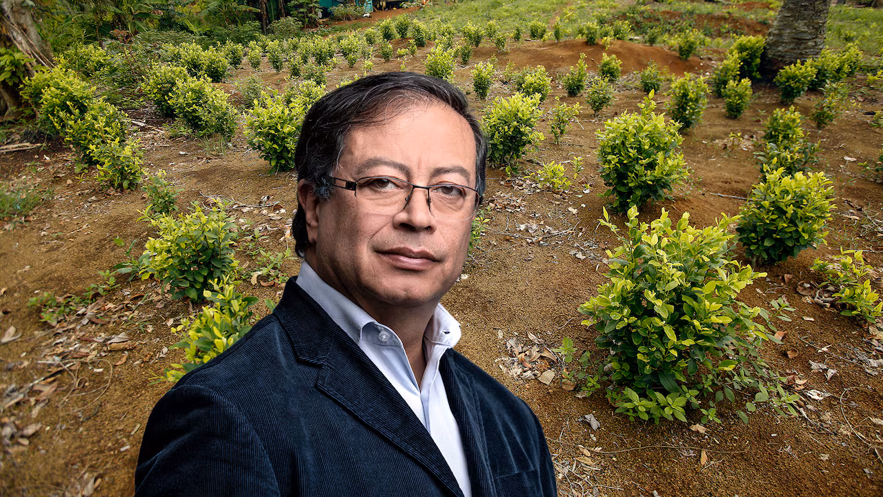 Hoja de coca aumenta en Colombia: Petro se anticipa a la ONU y revela nueva cifra de siembras
