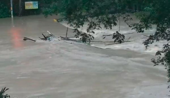 Cocodrilos podrían aparecer en zonas residenciales de Jamaica tras ser desplazados por huracán Melissa