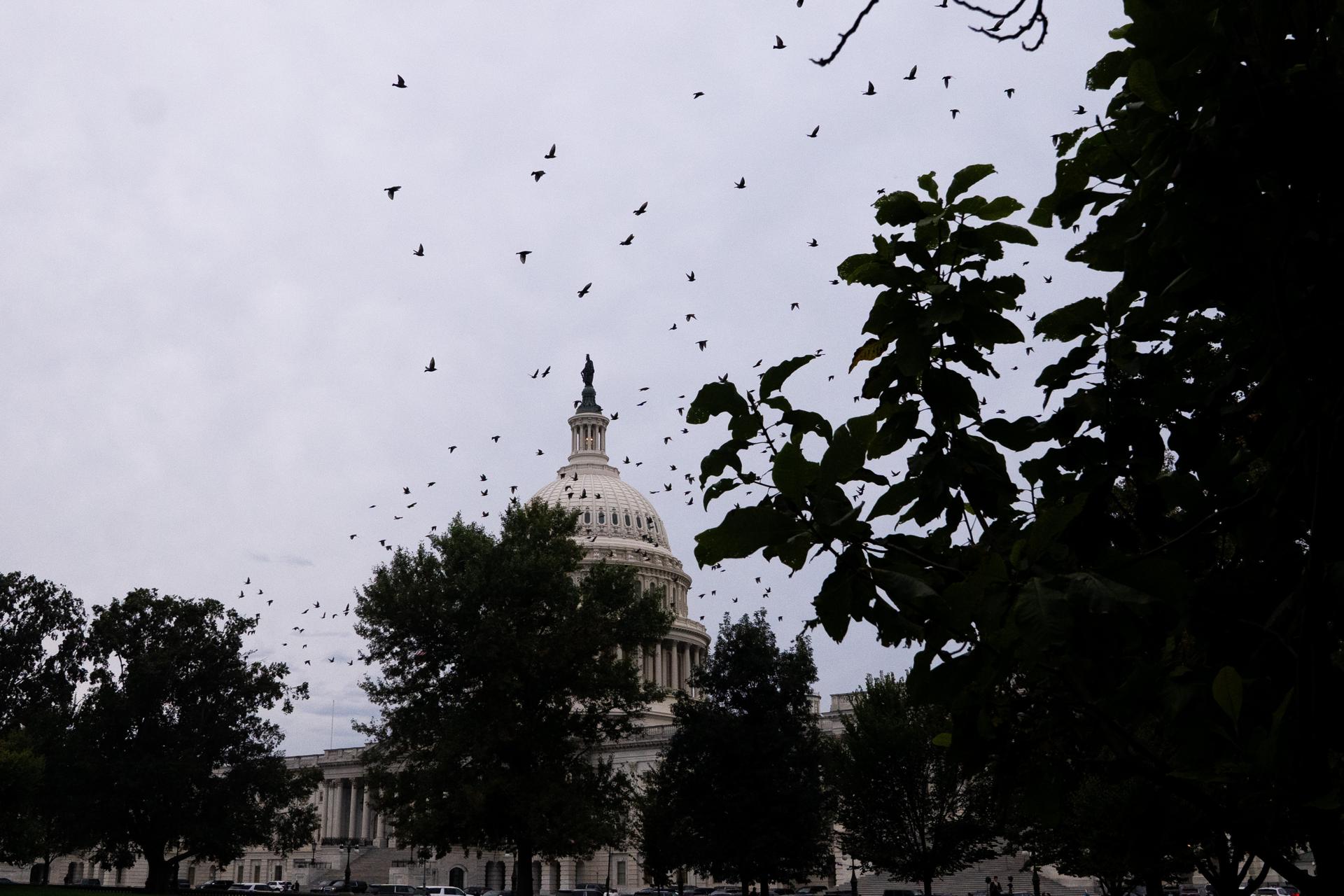El cierre del Gobierno en EEUU rompió récords como el más largo en la historia del país