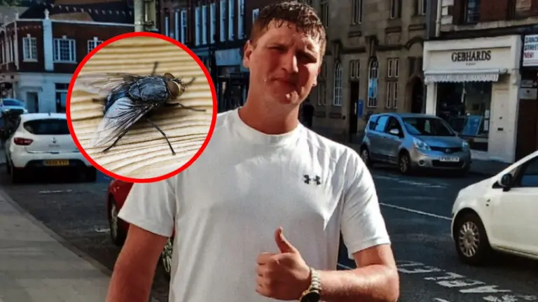 Hombre murió tras ignorar picadura de una mosca que le provocó enfermedad devastadora