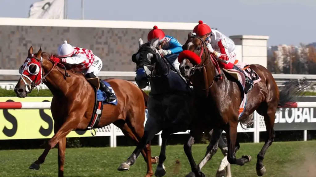 Jinete venezolano logra por primera vez esta hazaña en hipódromo de EEUU