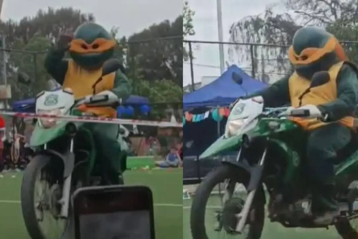 "Tortugas Ninja" capturaron a un ladrón venezolano en Chile