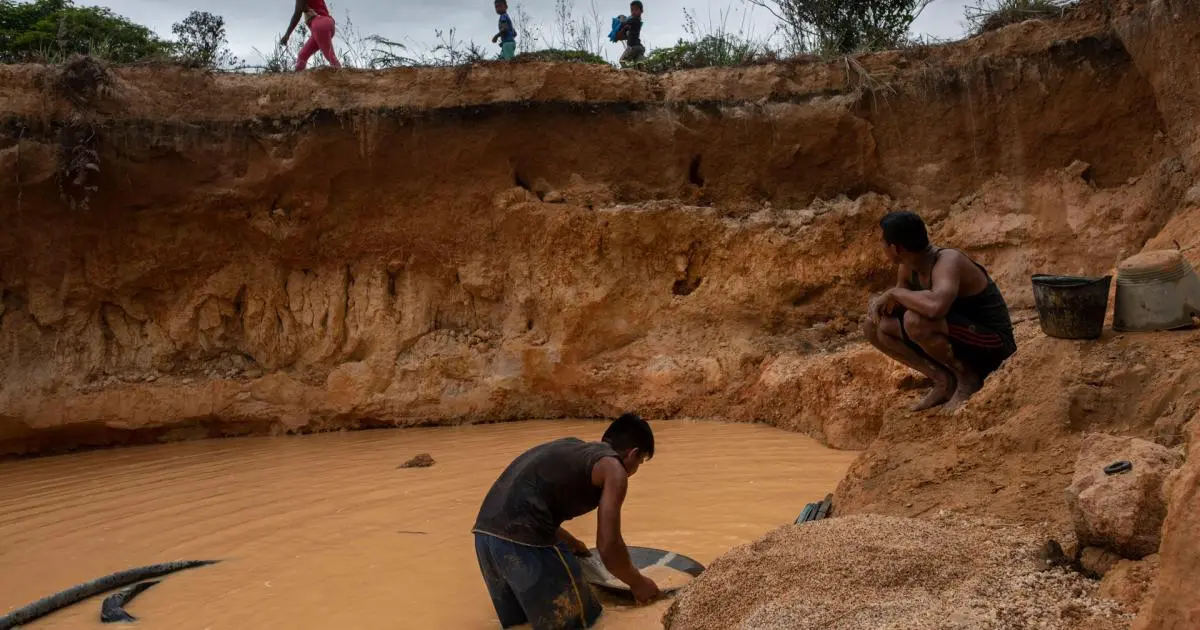 Mineros ilegales continúan acelerando la desertificación al sur del Orinoco (VIDEO)