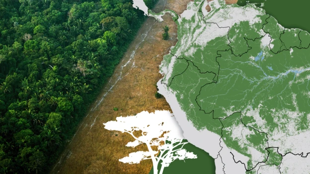 Los gráficos, mapas y FOTOS que muestran la lenta muerte de la Amazonía