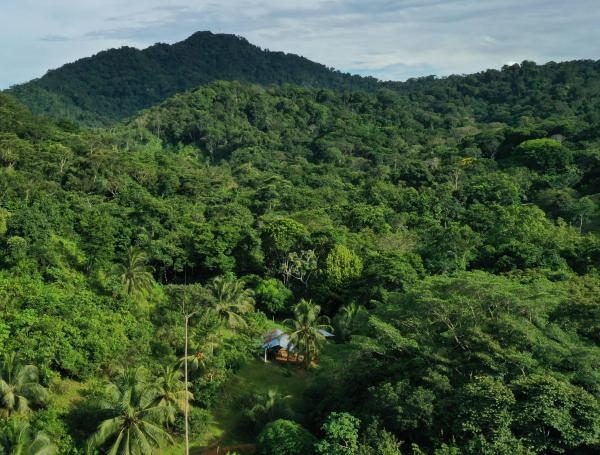 Presencia de EEUU en el Caribe y menor migración: así se reacomodan los grupos armados en el tapón del Darién