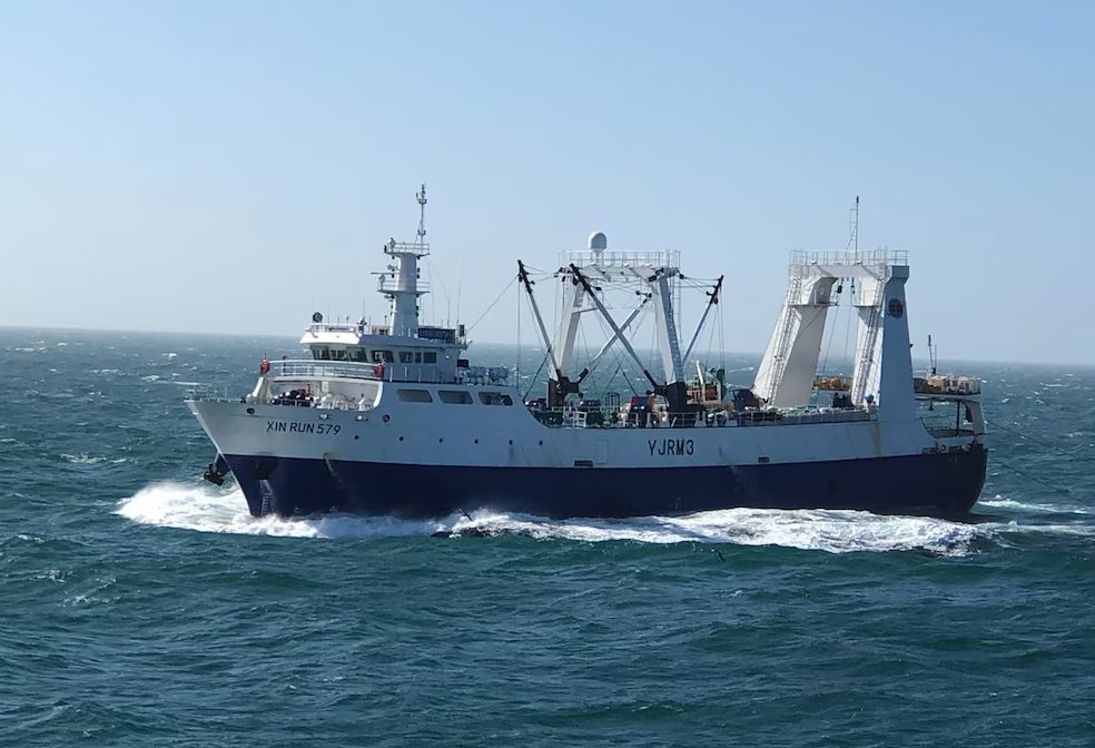 Flota pesquera china expandió su presencia en Sudamérica, con Chile como nuevo epicentro