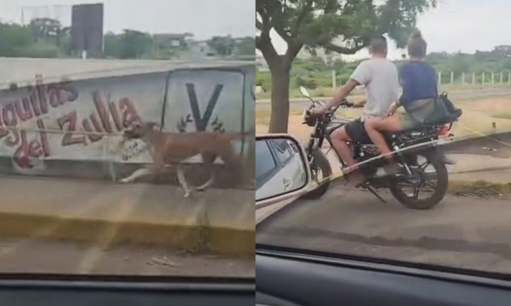 Denunciaron a pareja que arrastró a perrito atado con mecate a una moto en Maracaibo (Video)