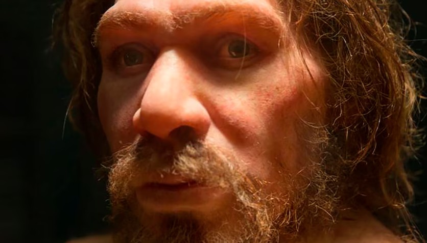 Los humanos modernos y neandertales podrían haber compartido besos, según un estudio de la Universidad de Oxford