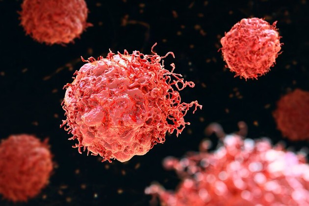 Identifican la célula que origina el Sarcoma de Ewing, un tumor pediátrico muy agresivo