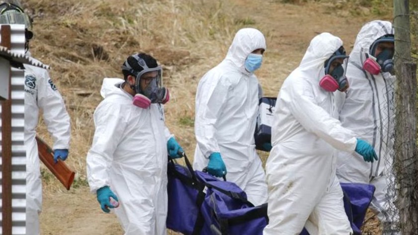 Macabro hallazgo en Chile: la policía encontró dos cuerpos calcinados y descuartizados en un operativo antidrogas