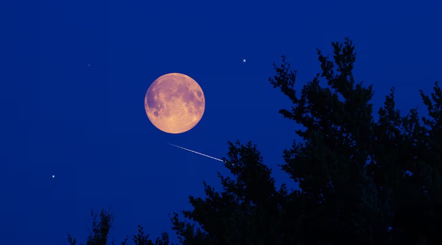 Comunidad científica pide prepararse para el fenómeno que ocurrirá después de la luna llena de noviembre