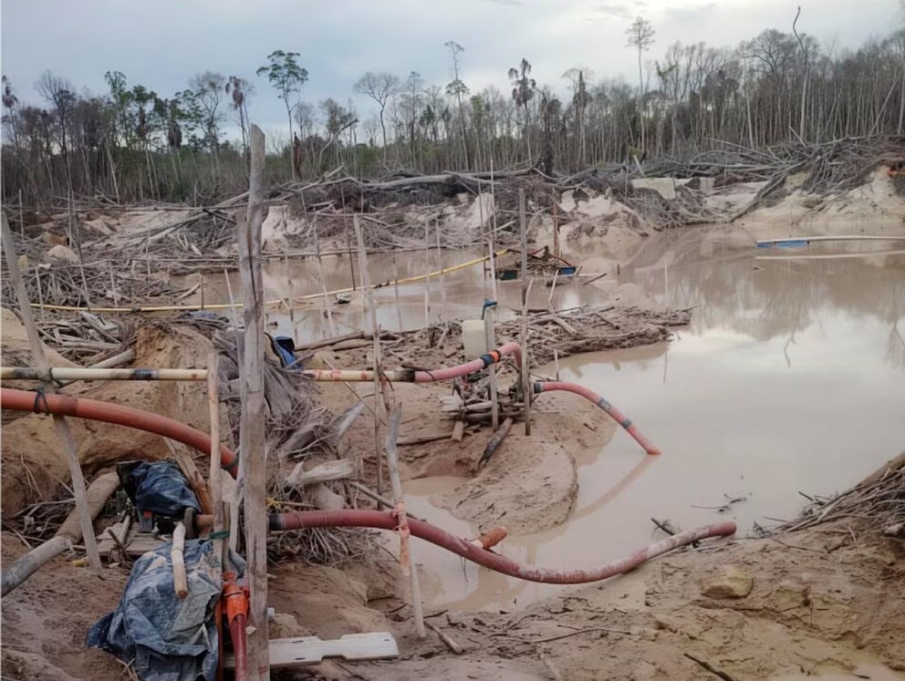 Infobae: Denuncian que uniformados de Maduro permiten explotación de oro en zonas protegidas de Venezuela