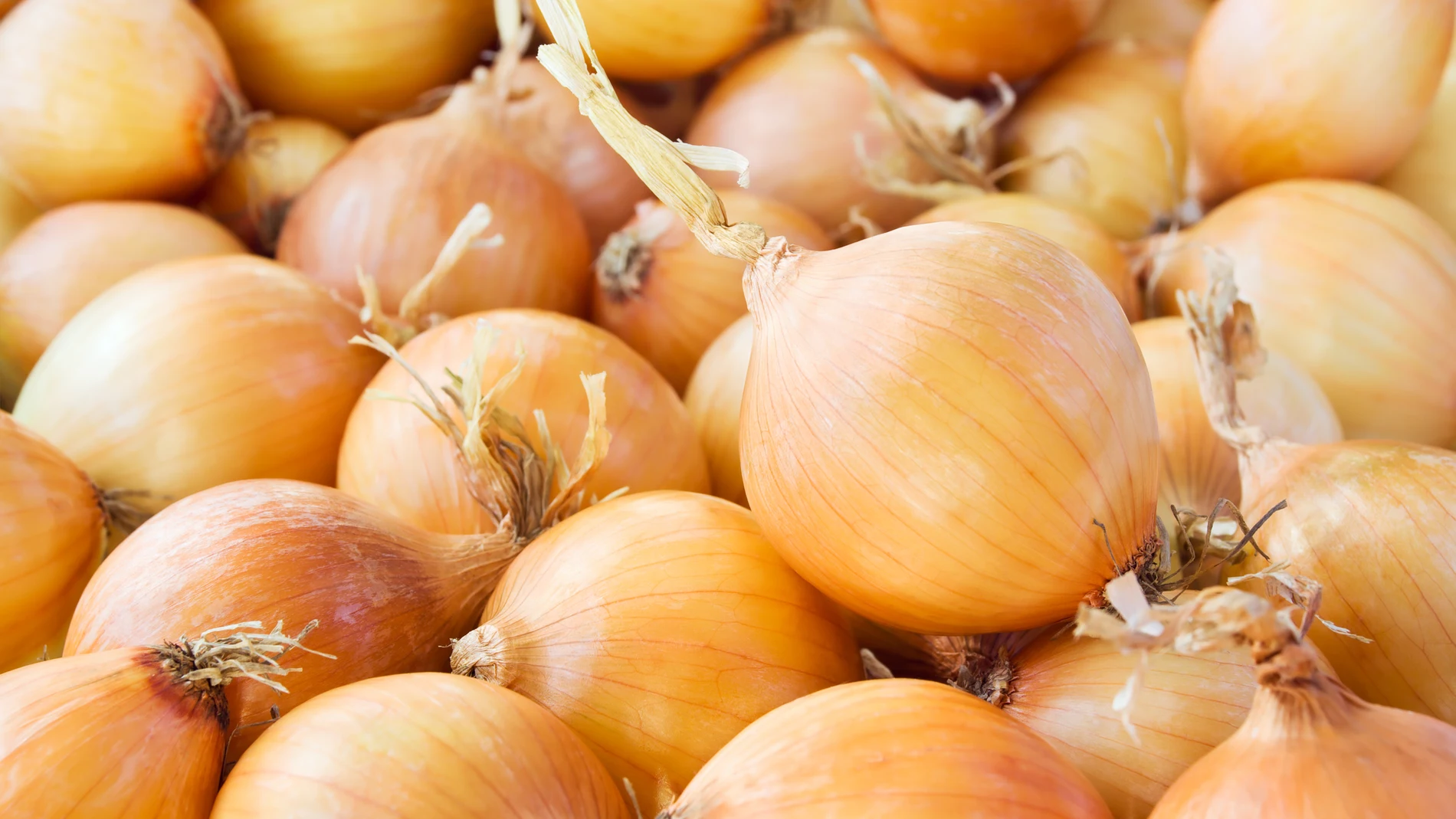 Por qué lloramos al cortar la cebolla y qué hacer para evitar que nos pase