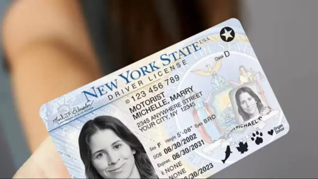 Venezolanos con TPS: problemas y solución para renovar la licencia en EEUU