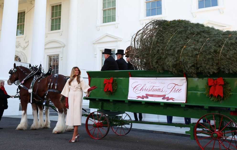 VIDEO: Melania Trump recibió el árbol que presidirá la Navidad en la Casa Blanca