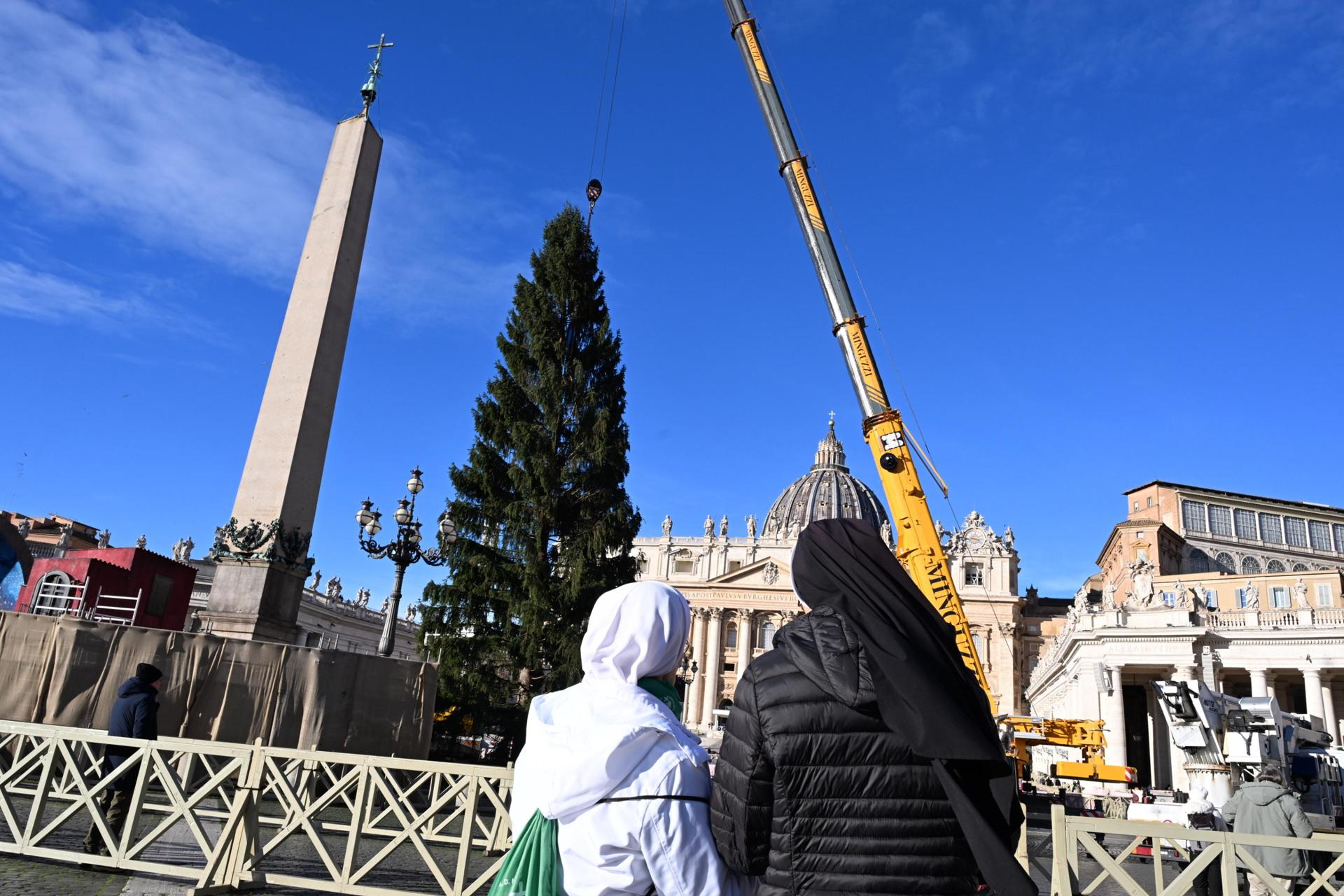 El abeto de Navidad del Vaticano llega a la Plaza de San Pedro desde el norte de Italia