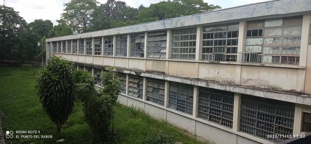 Director político del Psuv en Ocumare del Tuy causó el arresto de una profesora por regañar a su hijo