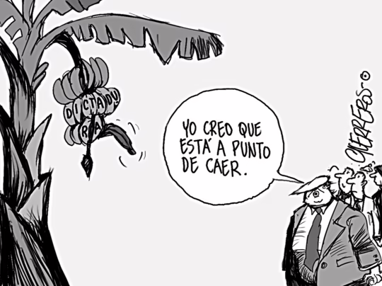 Caricaturas de este domingo 7 de diciembre de 2025