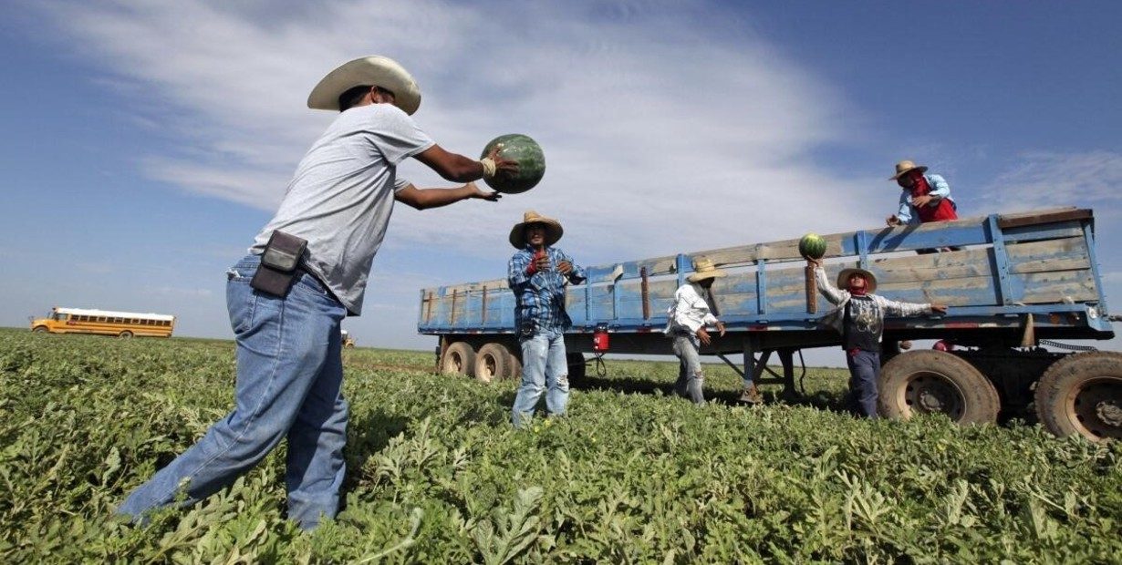 La regla que entró en vigor y facilitará la visa de algunos trabajadores para entrar a EEUU
